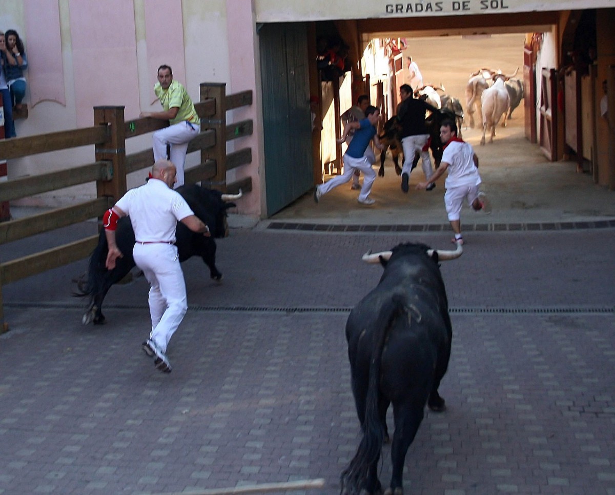 Entrando en el callejón de Tudela con el 5° toro